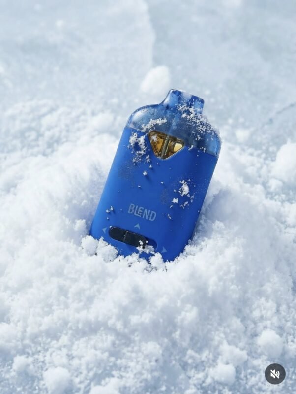 Smoothie Bar Blend Disposable